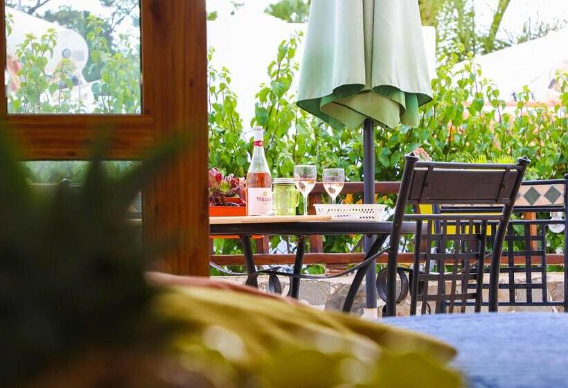 إستوديو قياسى, Los Geranios, Close To Beach, Puerto Colon, Yellowcat 2