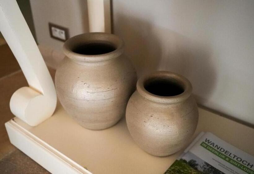 غرفة قياسية, La Maison Des Papillons