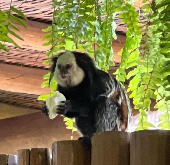 プール付き１ベッドルームヴィラ, Villa De Bemposta Trancoso