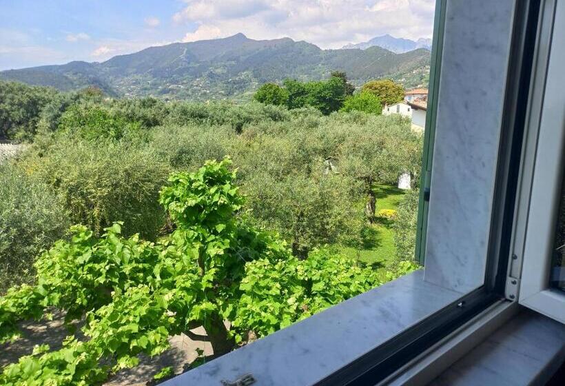 标准间, La Madonnina