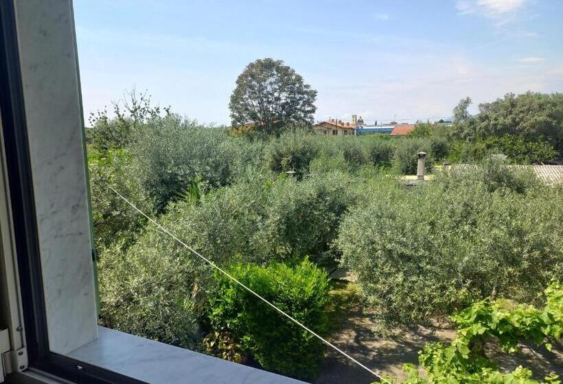 标准间, La Madonnina