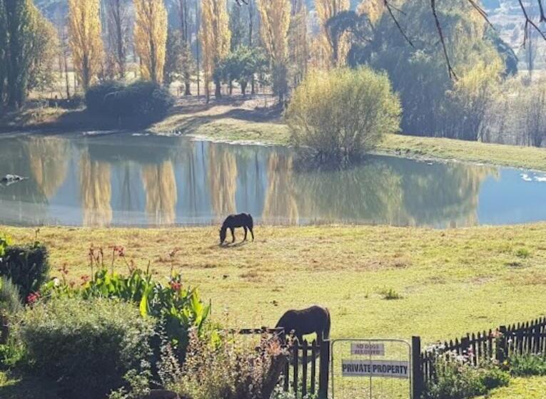 غرفة قياسية سرير كينج, The Viewing Deck Accommodation