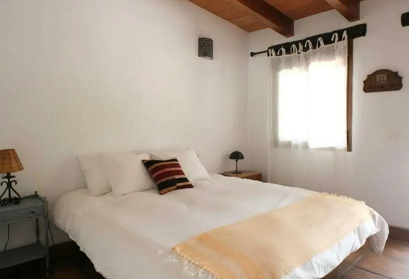 スタンダードルーム, The Wild Olive Andalucía Palma Guestroom