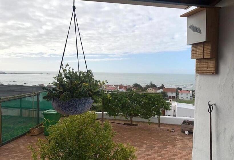 غرفة قياسية, Foot Loose & Fancy Free