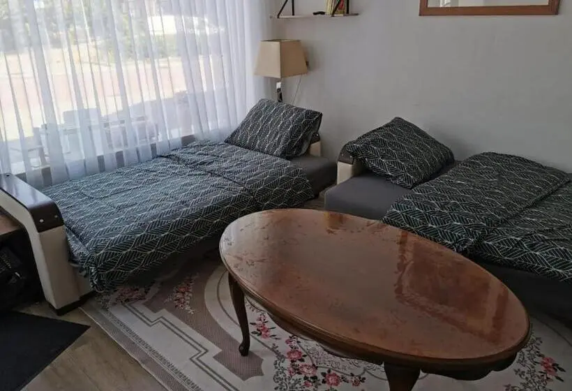 Cameră Standard, Studio Huzur