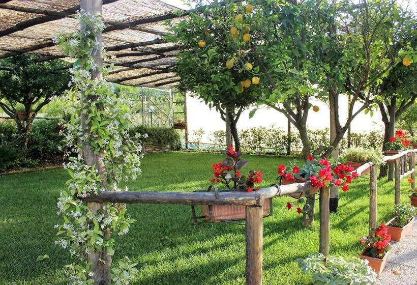 חדר סטנדרט נוף לגינה, Terra E Cielo