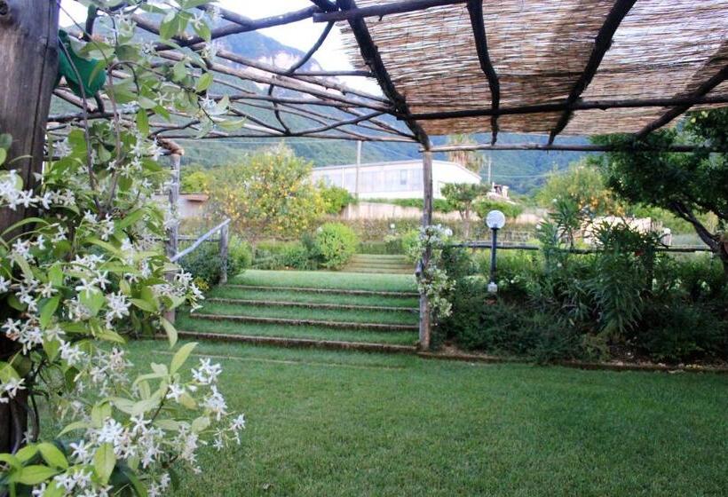 חדר סטנדרט נוף לגינה, Terra E Cielo