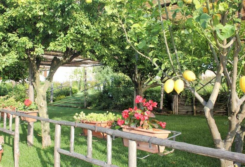 חדר סטנדרט, Terra E Cielo