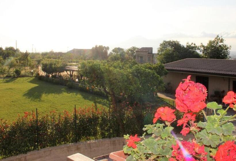 חדר סטנדרט נוף לגינה, Terra E Cielo