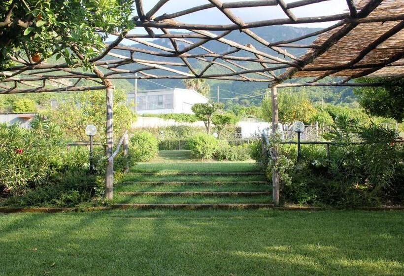 חדר סטנדרט נוף לגינה, Terra E Cielo