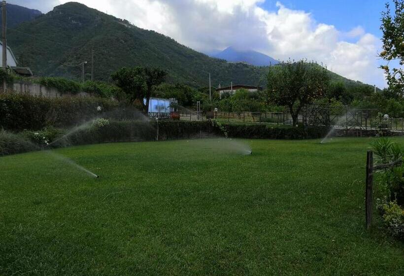 חדר סטנדרט נוף לגינה, Terra E Cielo