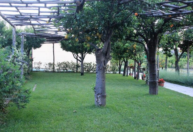 חדר סטנדרט, Terra E Cielo