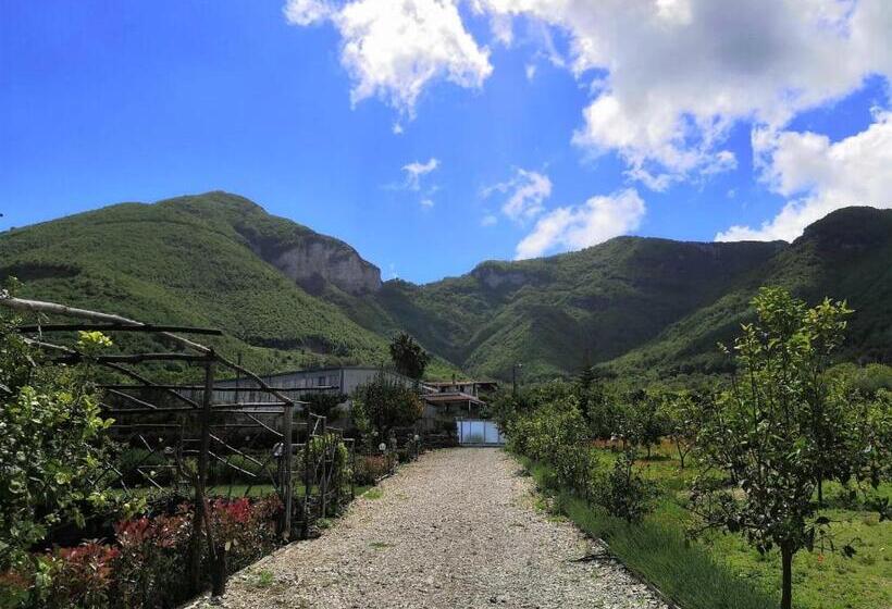 חדר סטנדרט, Terra E Cielo