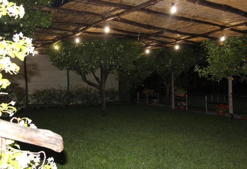 חדר סטנדרט, Terra E Cielo