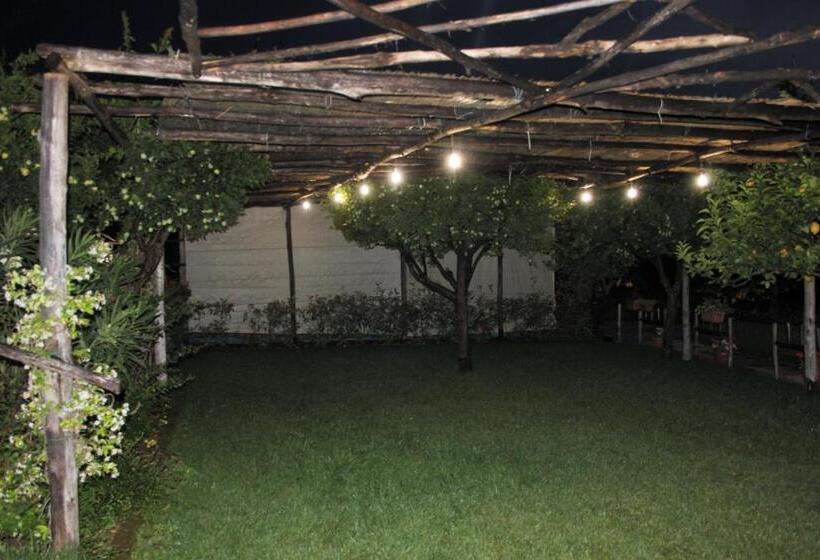 חדר סטנדרט נוף לגינה, Terra E Cielo