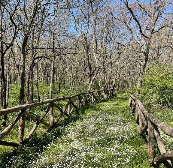 חדר סטנדרט עם מיטת קינג, Masseria La Mandra