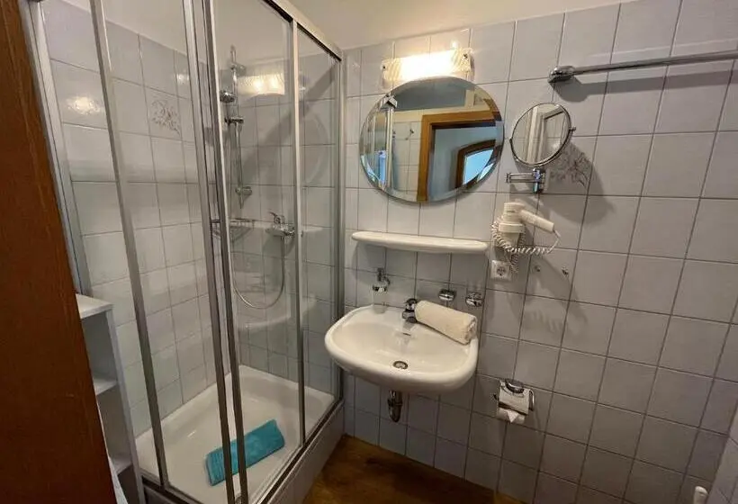 Standard Yhden Hengen Huone, Gasthof Pension Adler
