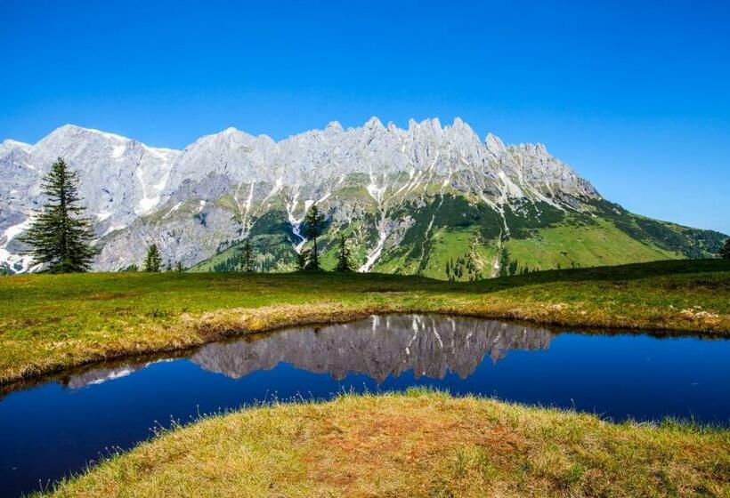 חדר סטנדרט יחיד, Berghotel Arthurhaus