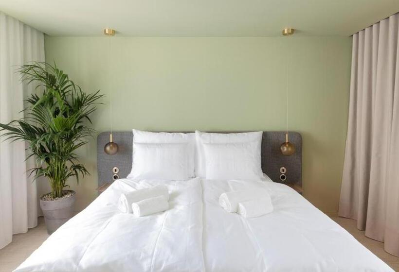 غرفة ديلوكس سرير كينج, Baske Villa