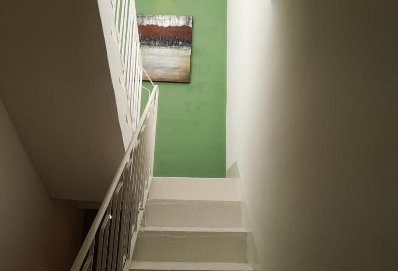 استودیوی لوکس, Dghajsa Guest House