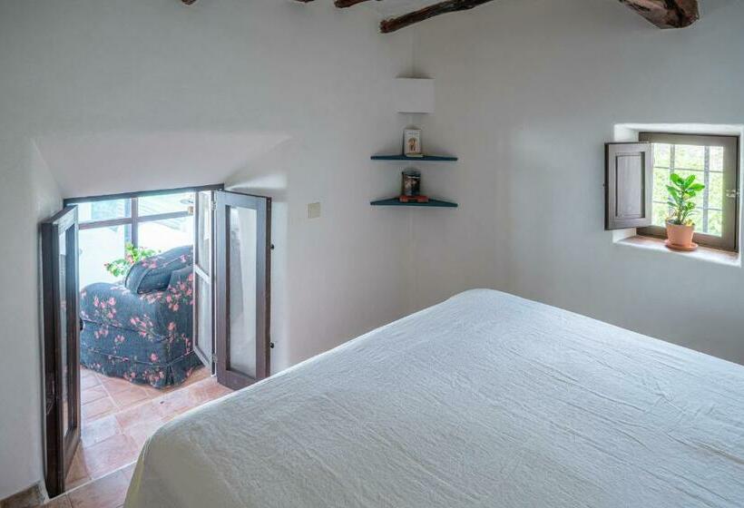 デラックスジュニアスイート, Robby S Ibiza