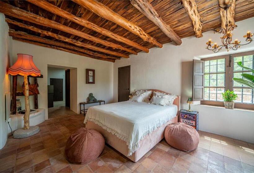 デラックスジュニアスイート, Robby S Ibiza