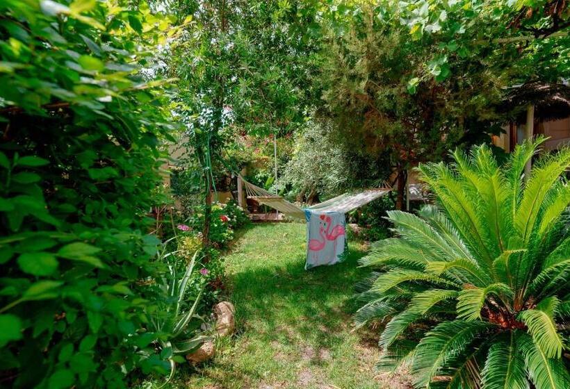 스탠다드 트리플 룸, Villabeachcity Guesthouse