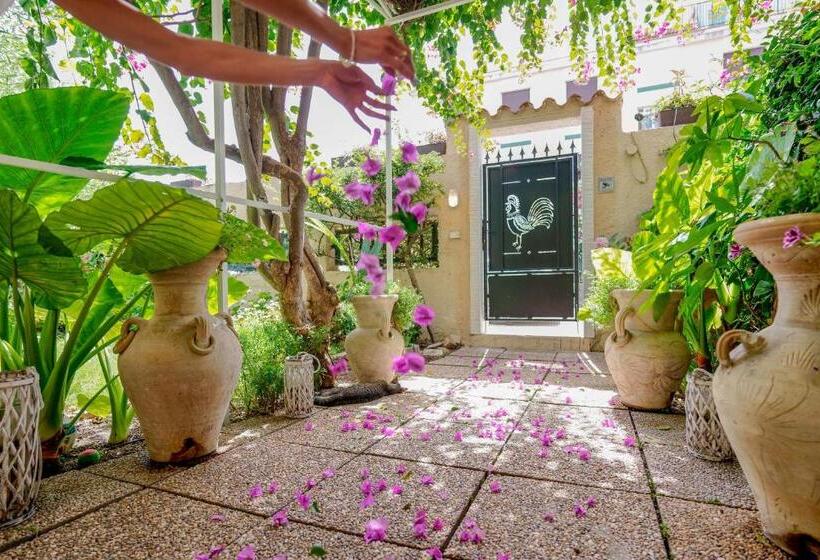 스탠다드 룸, Villabeachcity Guesthouse