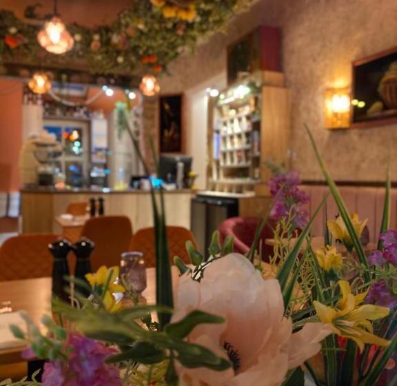 סוויטה אקזקיוטיב, Domo Boutique