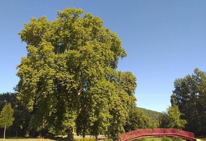 בית, חדר שינה 1, Le Sourire Du Troubadour   8 Chambres   Baignade à 300 M   Salle De Jeux   Poêle à Bois