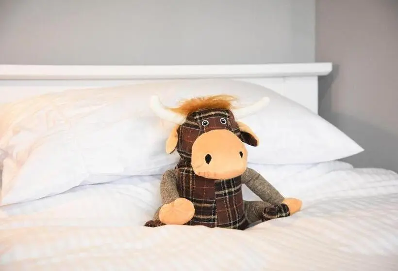 スタンダードシングルルーム, 5 Glenconon Bed And Breakfast