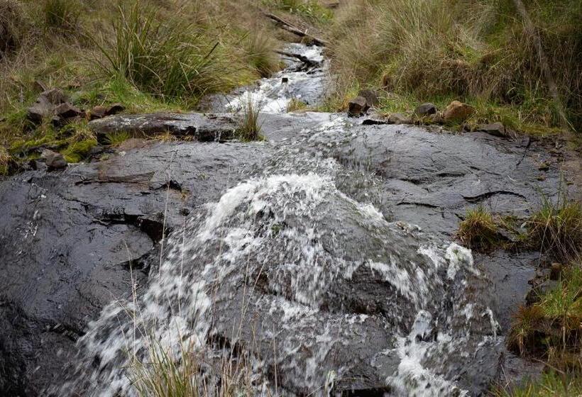 디럭스 스위트 킹 침대, Hanging Rock Views