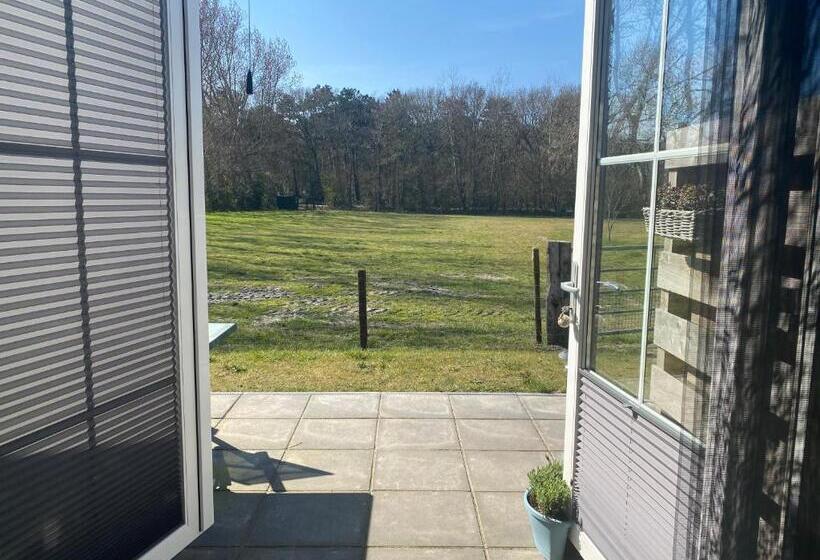 Standardrum, Logies Boszicht Texel