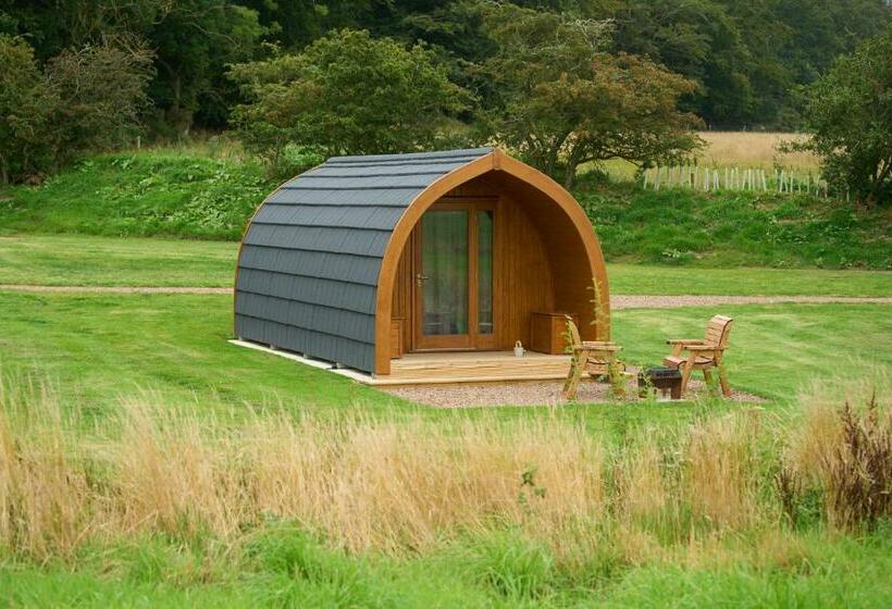 Студия Deluxe, Braeview Glamping