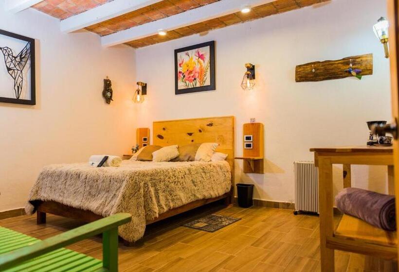 디럭스 룸, Colibri