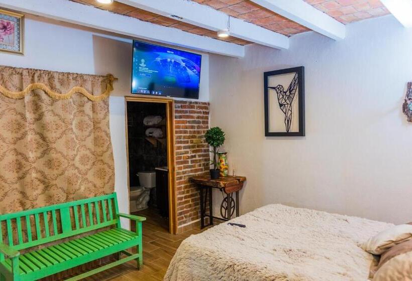 디럭스 룸, Colibri