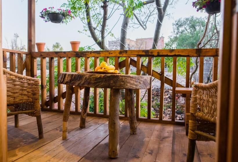 디럭스 4인 룸, Colibri