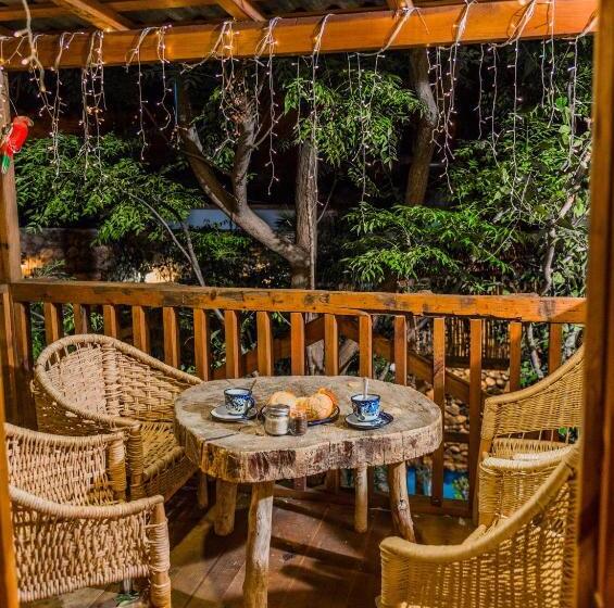 디럭스 4인 룸, Colibri