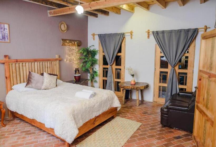 디럭스 4인 룸, Colibri