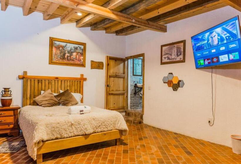 디럭스 4인 룸, Colibri