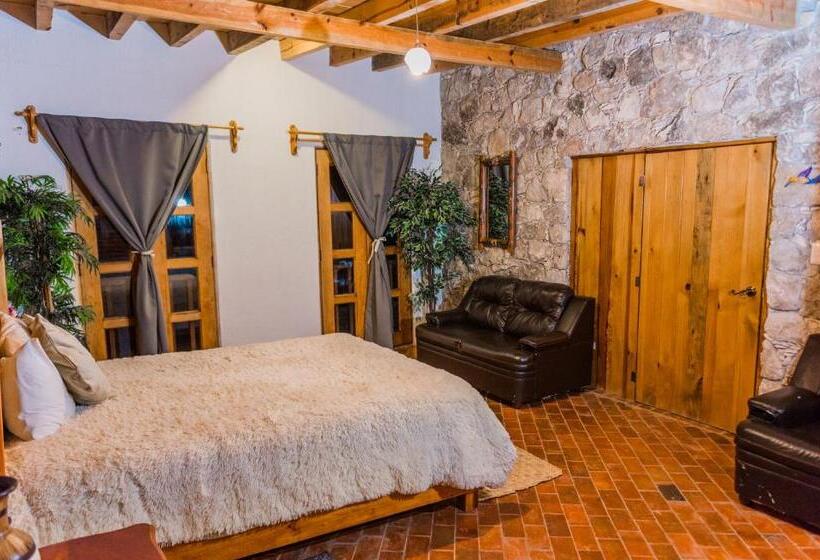 디럭스 4인 룸, Colibri