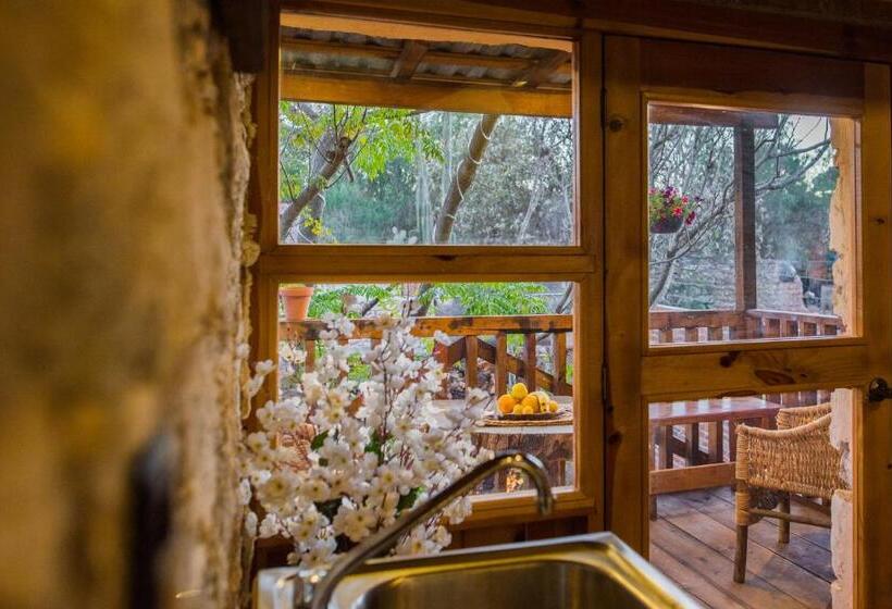 디럭스 4인 룸, Colibri