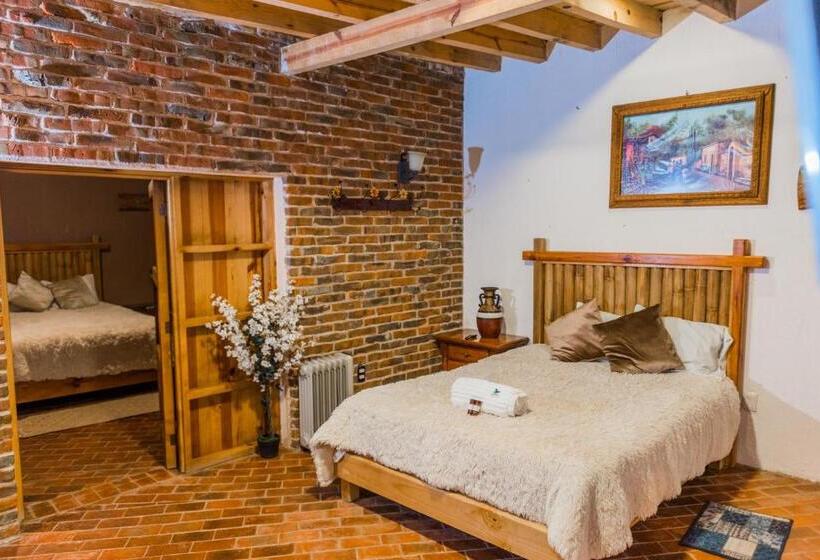 디럭스 4인 룸, Colibri