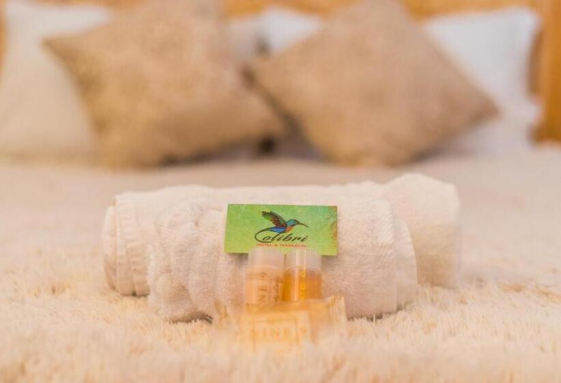 디럭스 룸, Colibri