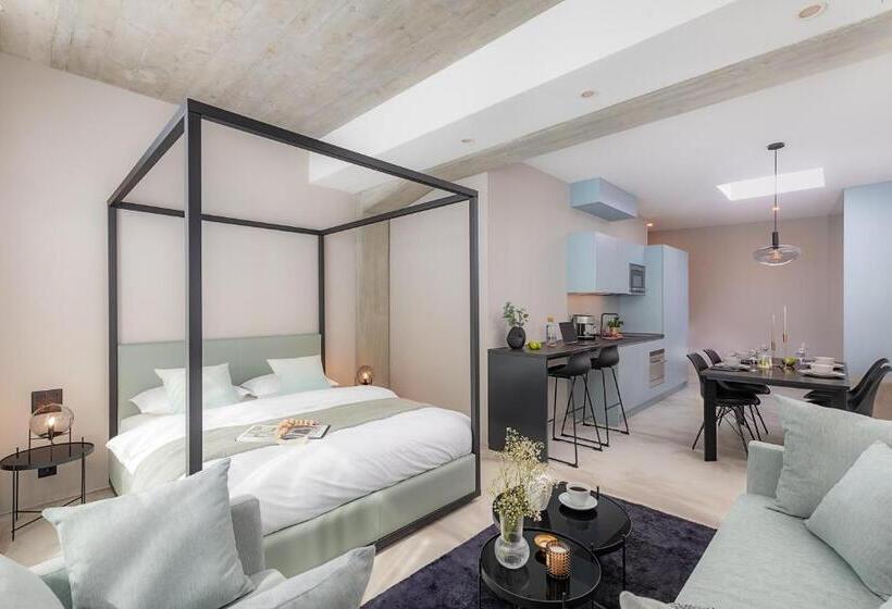 带1个卧室的公寓, Visionapartments Basel Nauenstrasse Contactless Check In