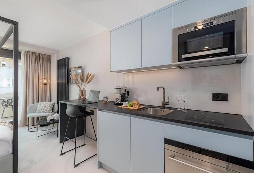 带露台的标准工作室, Visionapartments Basel Nauenstrasse Contactless Check In