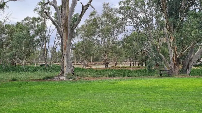 １ベッドルームハウス, Riversands Rest Accommodation Paringa   Coobah Cottage
