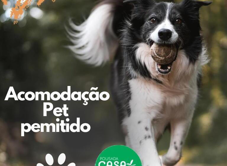 Standart Stüdyo, Pousada Casa Mato