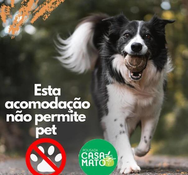 Standart Oda, Pousada Casa Mato