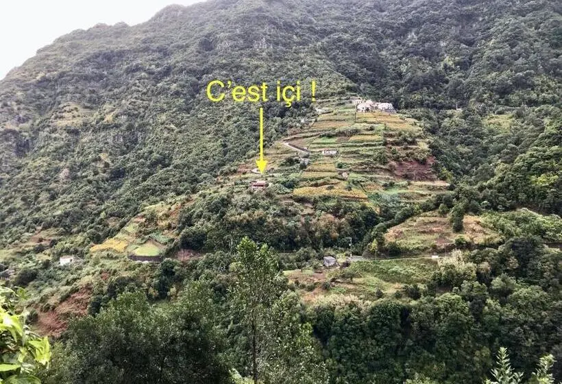 اتاق استاندارد با چشم‌انداز کوهستان, Maderedocevida